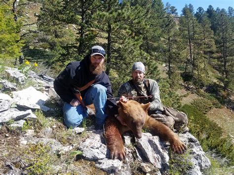 Spring Bear & Turkey Hunt – Wyomings Finest Outfitters