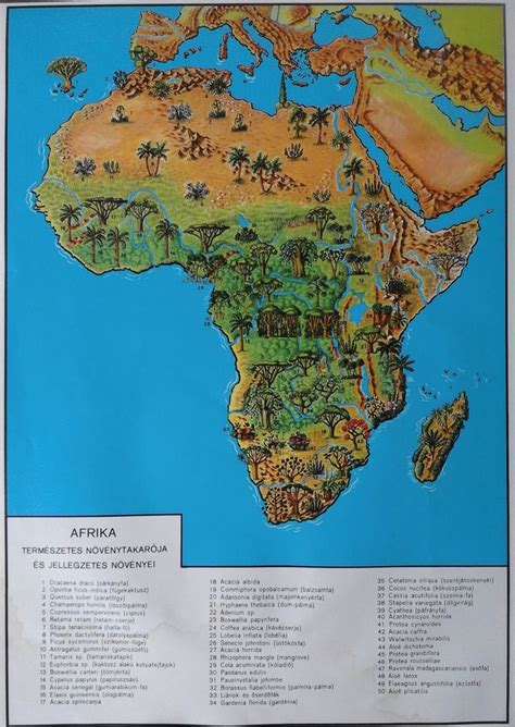 Natural vegetation and characteristic plants of Africa (Hungarian with scientific names, 1986 ...