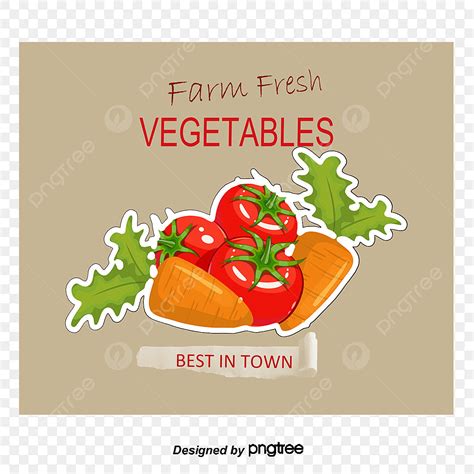 Vegetable Logo PNG Picture, Vector Vegetables Logo, Logo Vector, Hd, Vector PNG Image For Free ...