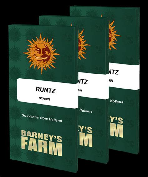 Runtz Weed Strain Seeds | BARNEYS FARM