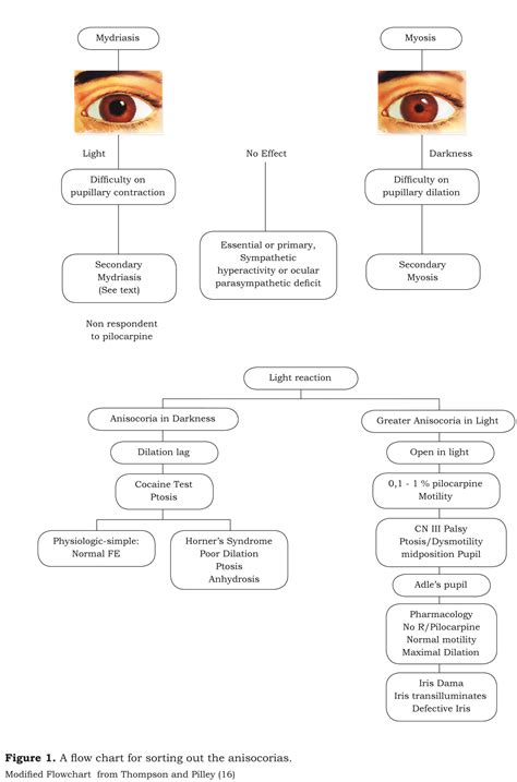 Miosis Vs Mydriasis