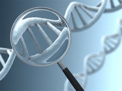 Genetic Testing to Predict Cancer Likelihood | Palo Verde Cancer Center