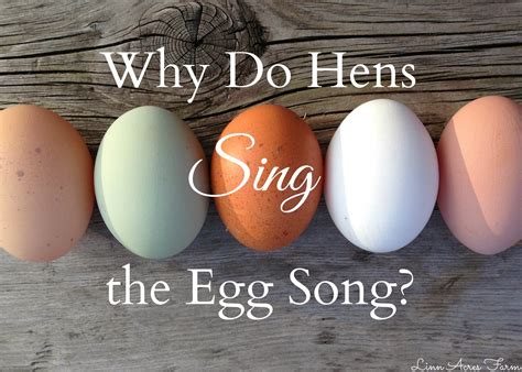 Linn Acres Farm: Why do Hens Sing the Egg Song?