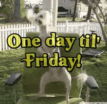 Almost Friday Gif - GIFcen