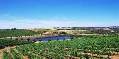 Wine Tour to the Alentejo