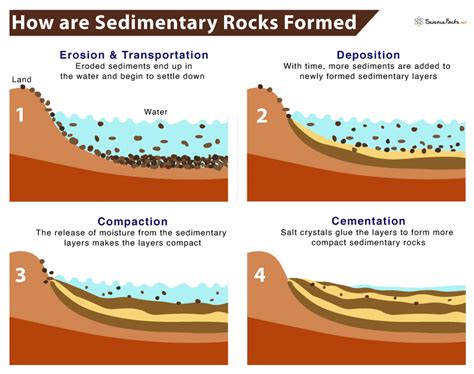 Sedimentary Rocks - Definition, Formation, Types, & Examples