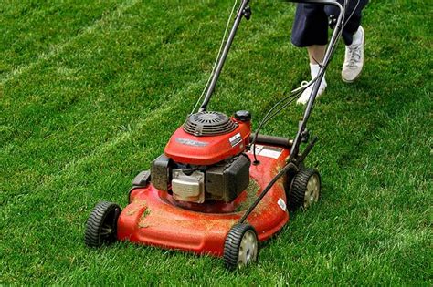 15 Different Types of Lawn Mowers Explained | Trees.com