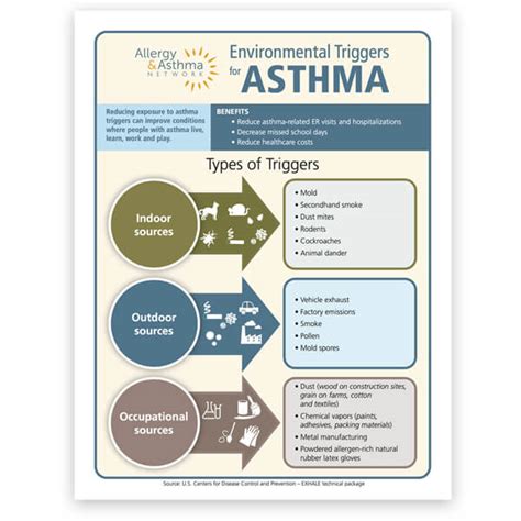 Environmental Asthma Triggers Infographic | AAN Store