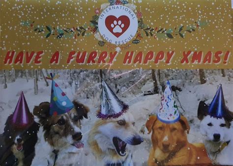 International Dog Rescue Christmas Cards