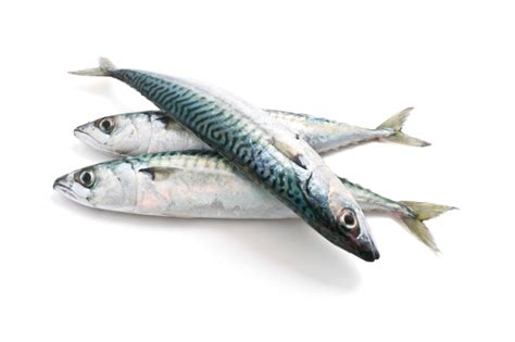 Mackerel Nutrition Facts - Good Whole Food