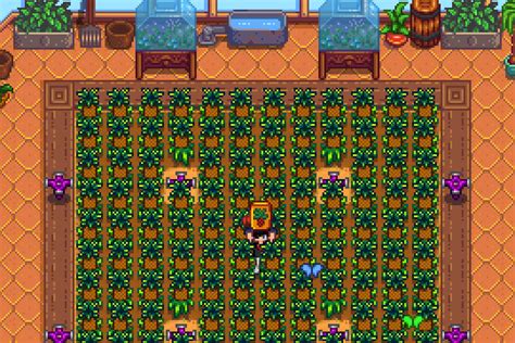 Stardew Valley Greenhouse: 16 Best Crops to Grow