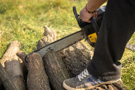 Gasoline Powered Professional Chainsaw Stock Photo - Image of equipment ...