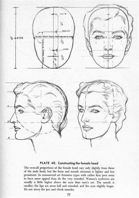 Drawing The Head And Hands - Andrew Loomis Male Figure Drawing, Human ...