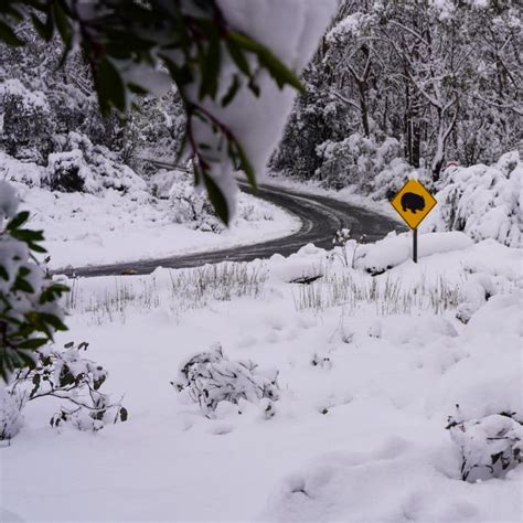 Is Australia in for a good snow season?