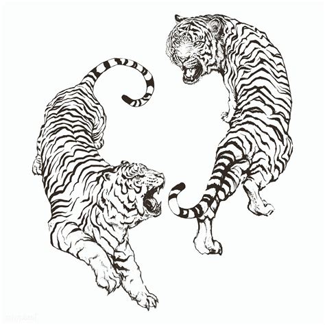 Hand drawn roaring tiger illustrations on an off white background | premium image by rawpixel ...