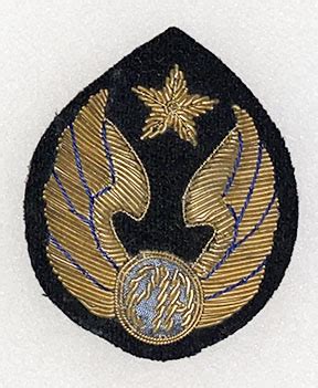 Other Collectibles :: Pakistan International Airlines Bullion Cap Badge