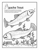 Trout Coloring Pages At GetColoringscom  Free Printable Colorings sketch template