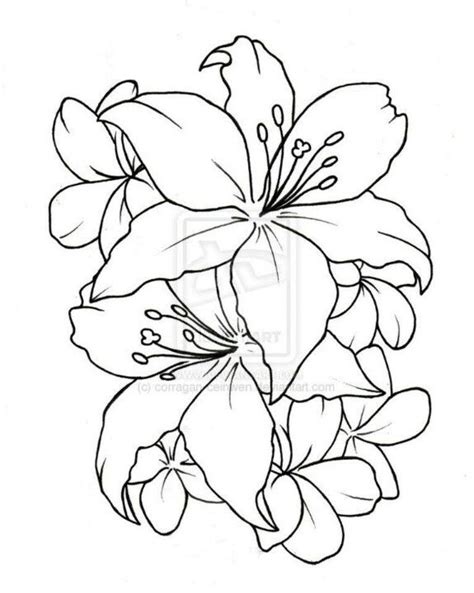 Hibiscus flower | Flower drawing, Simple flower tattoo, Lilly tattoo design