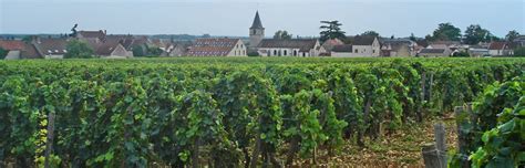 Burgundy Wine Tours, Tours of Burgundy, France