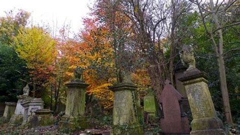 Abney Park Cemetery - Cemetery - visitlondon.com