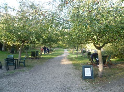The Orchard Tea Gardens, Grantchester © Marathon cc-by-sa/2.0 :: Geograph Britain and Ireland
