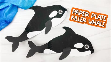 Paper Plate Killer Whale Craft For Kids - YouTube