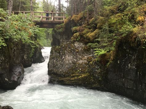 Alaska Hiking Tour; Girdwood, Alaska Hiking; Winner Creek Trail