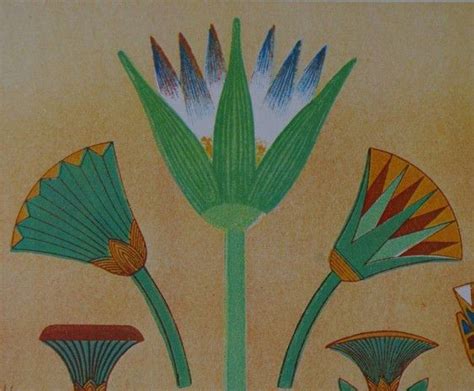 Lotus-Ancient-Egypt | Agnes Ashe | Lotus art, Blue lotus flower, Egyptian art