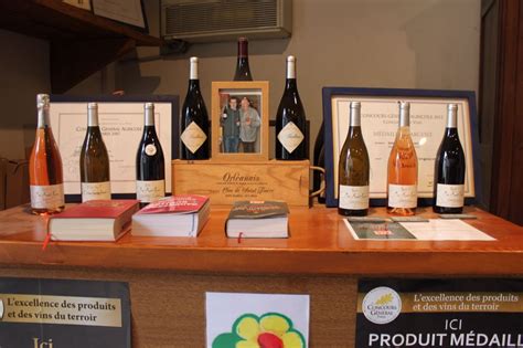 Wine tasting in the Loire Valley Orleans | Wine tasting, Loire valley, Loire