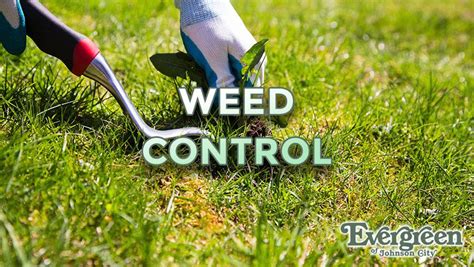 Weed Control - Evergreen of Johnson City, TN