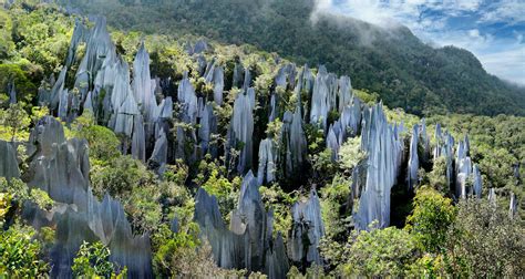 Best national parks in Malaysia - Lonely Planet