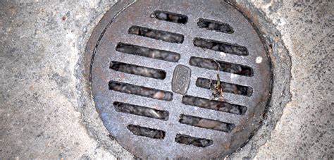 Basement Drains: Everything You Need to Know - Tool Digest