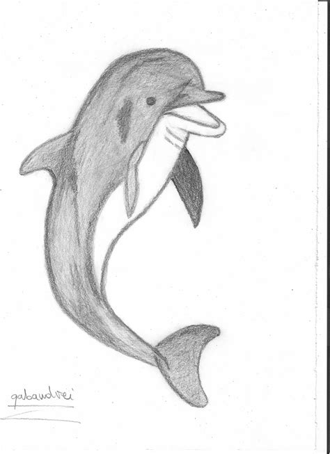 Free Dolphin Drawings, Download Free Dolphin Drawings png images, Free ...