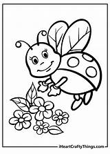10 Cute Ladybug Coloring Pages Free To Print  Craze sketch template