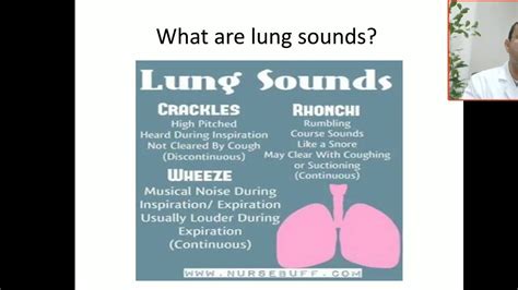 What are lung sounds? Crackles,wheeze, Rhonchi , continuous rumbling sound, high pitched sound ...