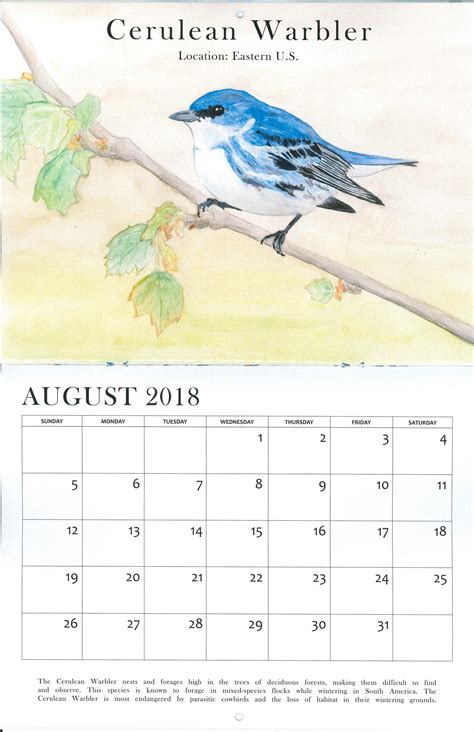 Buy a Calendar, Support Audubon | Audubon Delta