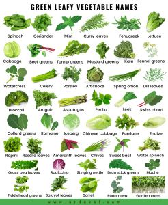 45 Green Leafy Vegetable Names with Pictures and their Benefits