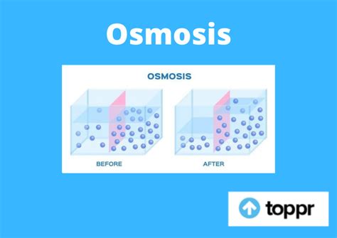 Osmosis: Definition, Reverse Osmosis Definition, FAQs