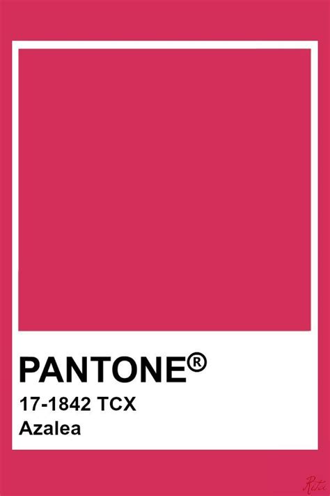 Pantone Azalea | Pantone colour palettes, Pantone pink, Pantone color chart