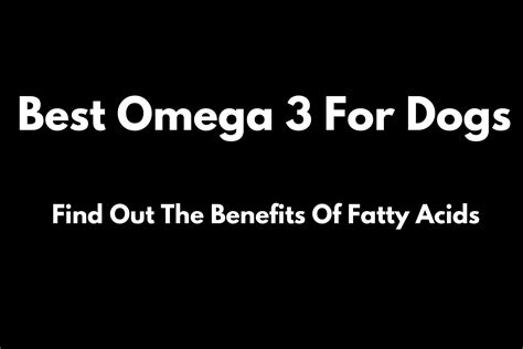 Omega-3 For Dogs Ultimate Guide - The Benefits of Fish Oil