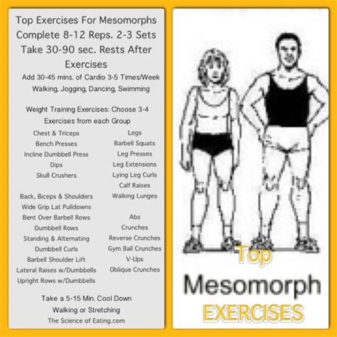 Pin on mesomorph diet