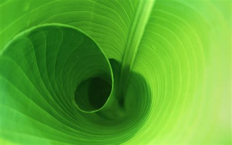 Mac OS - Green Wallpaper (22239518) - Fanpop