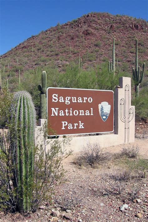 NPS Geodiversity Atlas—Saguaro National Park, Arizona (U.S. National ...