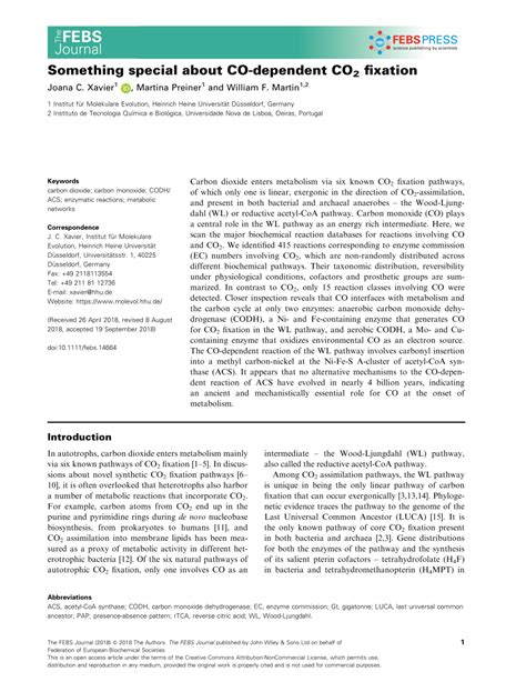 (PDF) Something special about CO‐dependent CO2 fixation