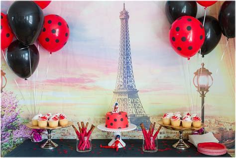 Miraculous: Ladybug and Cat Noir Birthday Party Decor