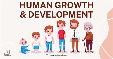 Human Growth and Development in Anthropology | Anthroholic