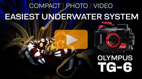 The Easiest Underwater System: Olympus TG-6 - Videos - Backscatter