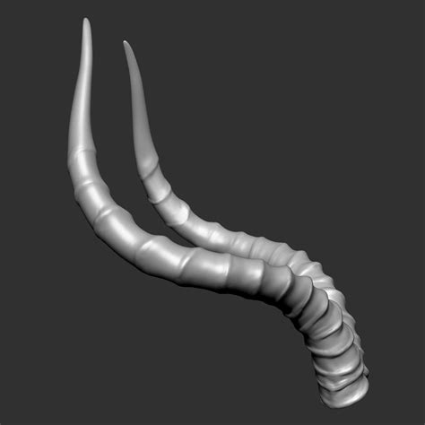 3D impala antelope horns - TurboSquid 1445355