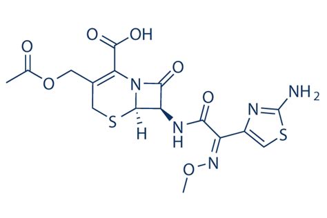 Cefotaxime | 99.59%(HPLC) | In Stock | Antibiotics for Plant Cell Culture inhibitor