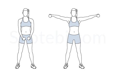 Dumbbell Lateral Raise | Illustrated Exercise Guide